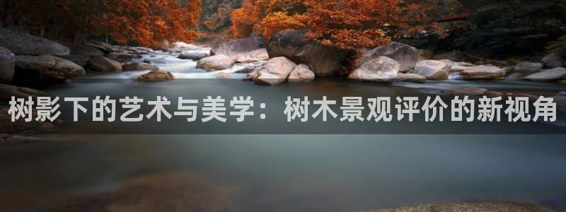 卧龙娱乐主管