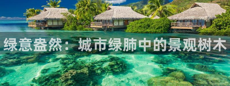 卧龙娱乐彩下载