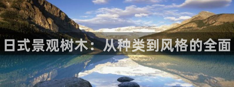 BA娱乐卧龙招商60447