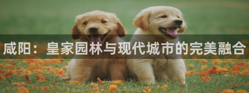 卧龙名都娱乐会所