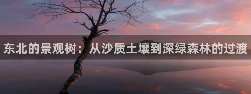 卧龙娱乐在线直播网址