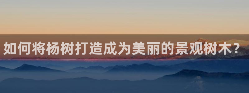 星鸿娱乐 0 47卧龙