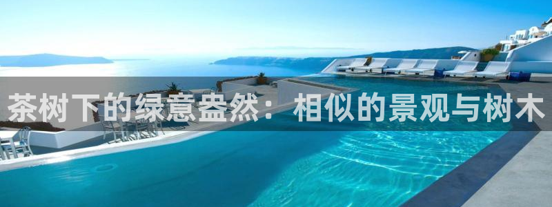 卧龙娱乐桐333OO