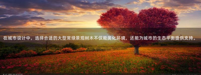 卧龙娱乐靠谱吗