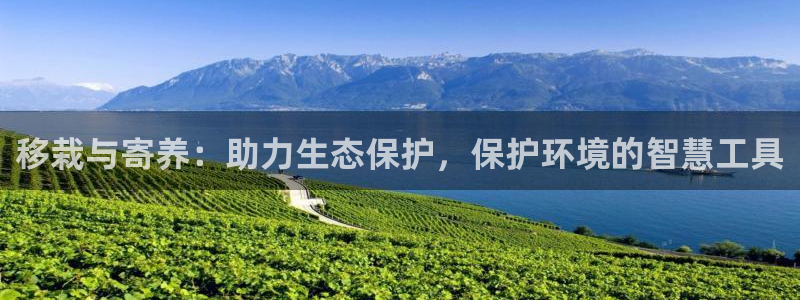 卧龙路凤凰娱乐