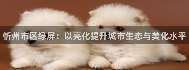 南阳卧龙娱乐城