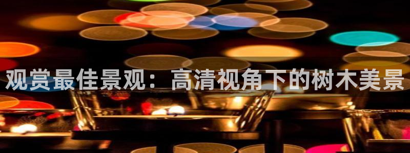 卧龙娱乐开户：观赏最佳景观：高清视角下的树木美景