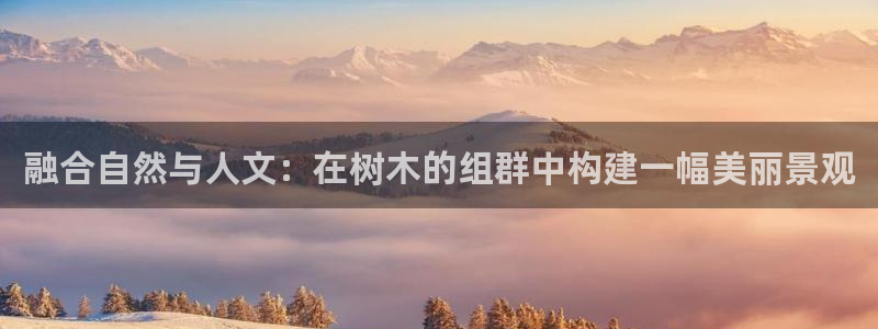 HR娱乐卧龙主管60447