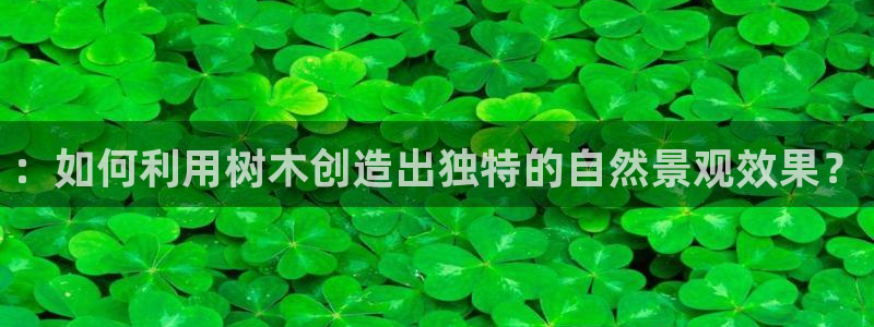 卧龙娱乐右