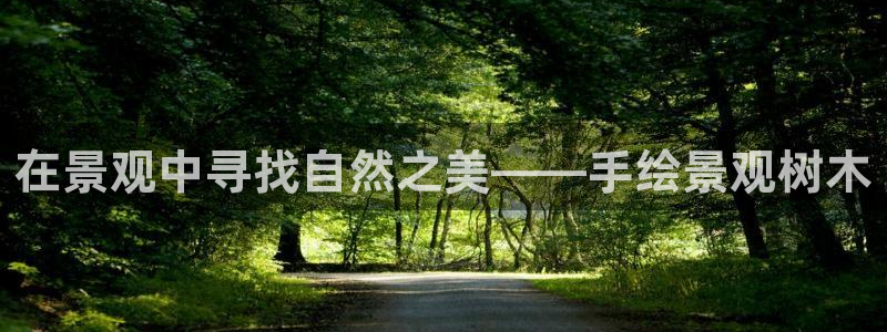 卧龙桥休闲娱乐园