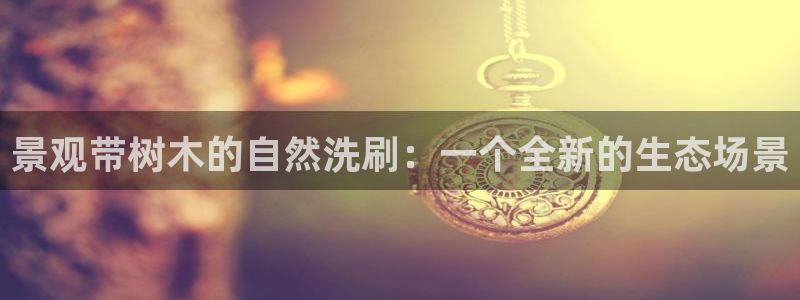 卧龙休闲娱乐优惠