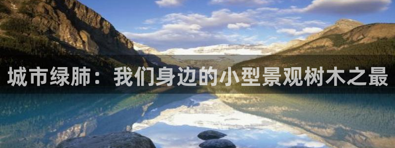 南阳卧龙娱乐会所