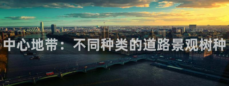 卧龙娱乐32二九01：中心地带：不同种类的道路景观树种