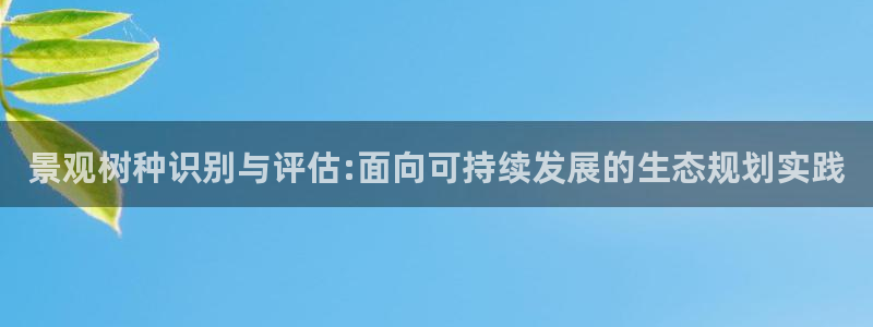 柏林娱乐- 0 7卧龙