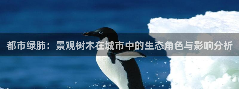 卧龙娱乐APP