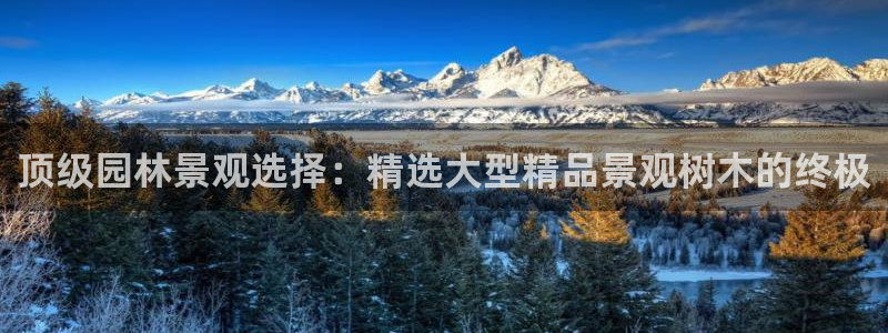 卧龙娱乐地