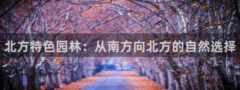 卧龙娱乐日