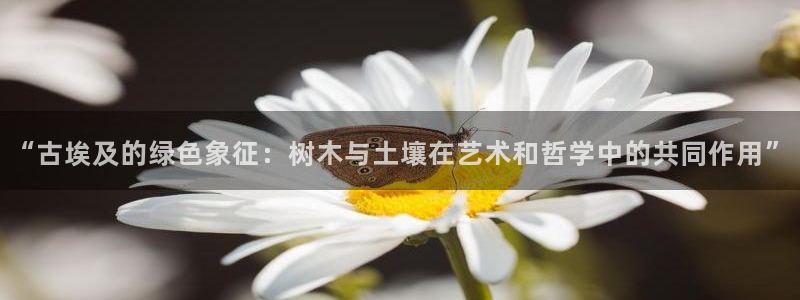 卧龙娱乐396667