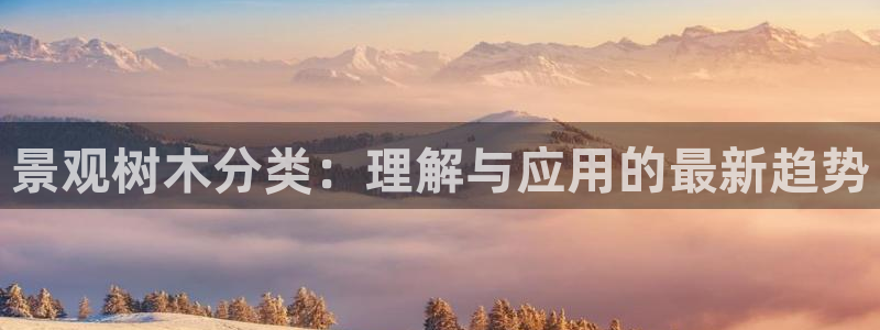 卧龙区休闲娱乐推荐