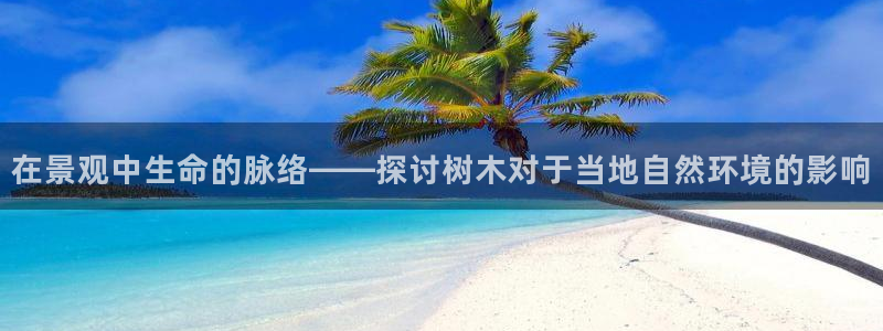 mvp娱乐 卧龙招商60447