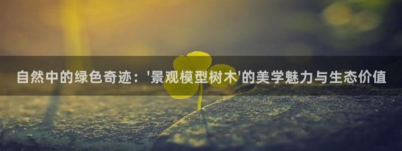 卧龙名都娱乐会所