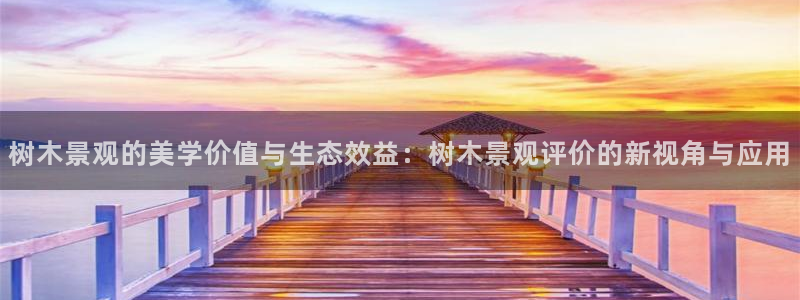 SKY娱乐 卧龙主管60447