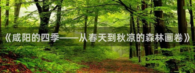卧龙吟娱乐将：《咸阳的四季——从春天到秋凉的森林画卷》