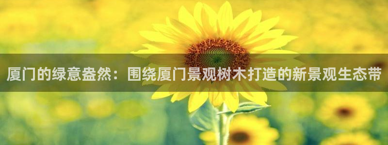 卧龙娱乐集团官网：厦门的绿意盎然：围绕厦门景观树木打造的新景观生态带