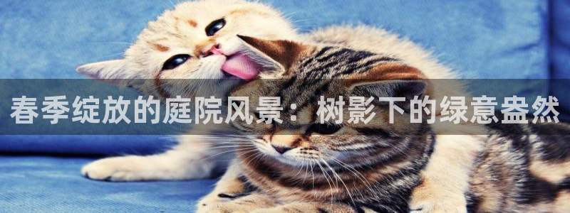 南阳卧龙站到尊上娱乐