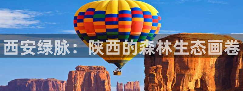 卧龙区休闲娱乐