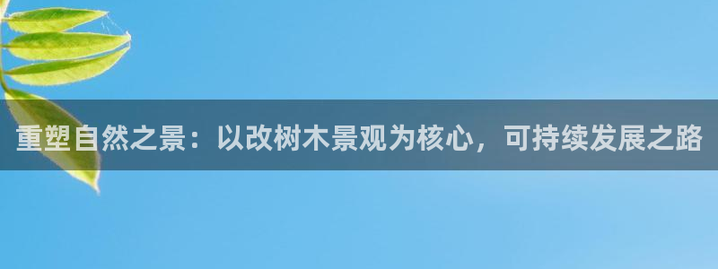 卧龙娱乐在线直播网
