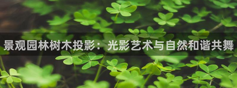 卧龙区夜晚娱乐