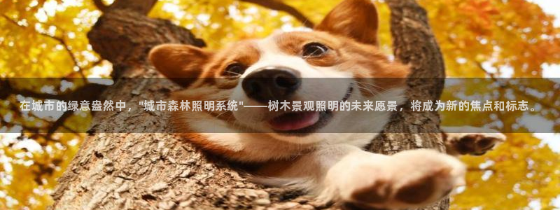 卧龙娱乐3月10日开