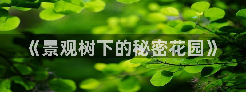 卧龙娱乐 找86555