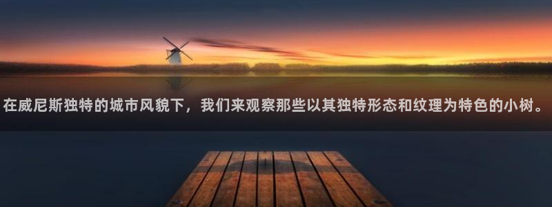 卧龙娱乐是真假吗