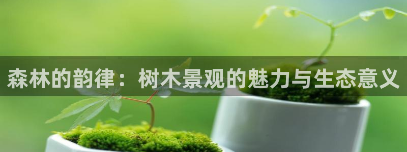 卧龙路凤凰娱乐