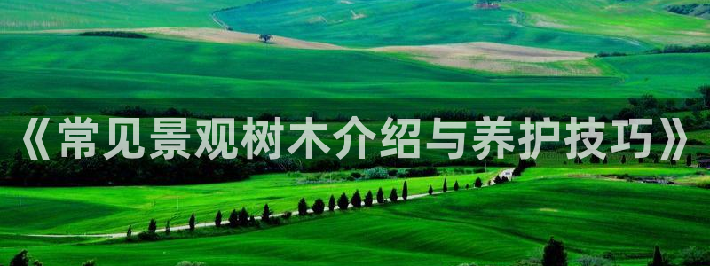 卧龙娱乐官网网址