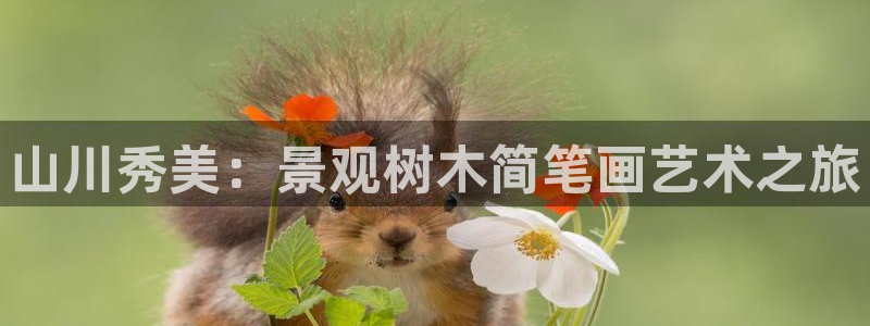 卧龙岗娱乐