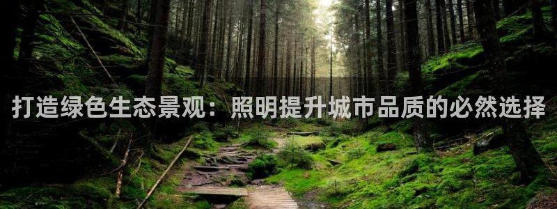 卧龙娱乐号