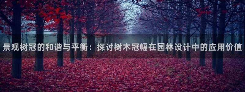 杏耀娱乐卧龙60447