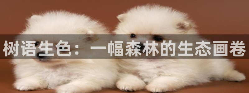 卧龙娱乐老板是谁呀图片