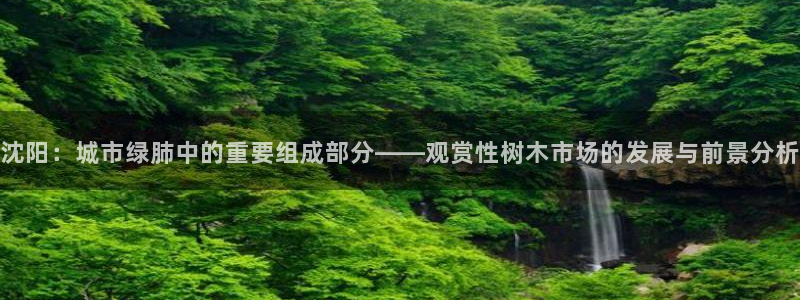 娱乐圈卧龙凤雏：沈阳：城市绿肺中的重要组成部分——观赏性树木市场的发展与前景分析