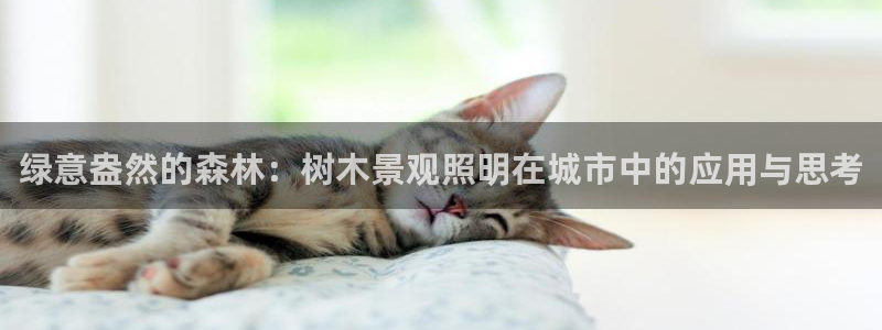 PT娱乐卧龙招商60447：绿意盎然的森林：树木景观照明在城市中的应用与思考