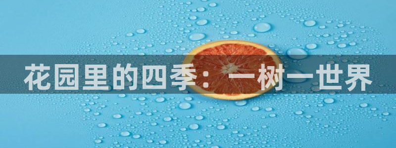 溧水卧龙湖娱乐