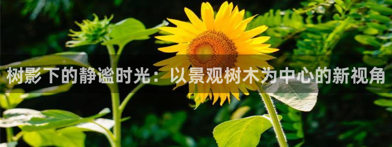 卧龙区娱乐设备