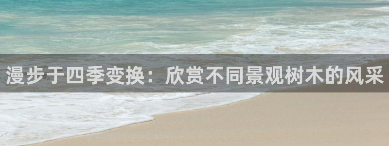 SKY娱乐卧龙招商60447
