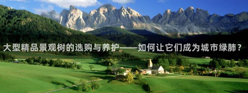 卧龙娱乐天：大型精品景观树的选购与养护——如何让它们成为城市绿肺？