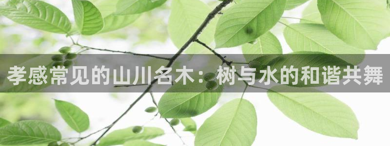e彩娱乐 卧龙股东60447