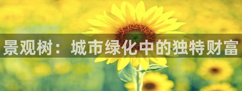 卧龙娱乐老板叫什么