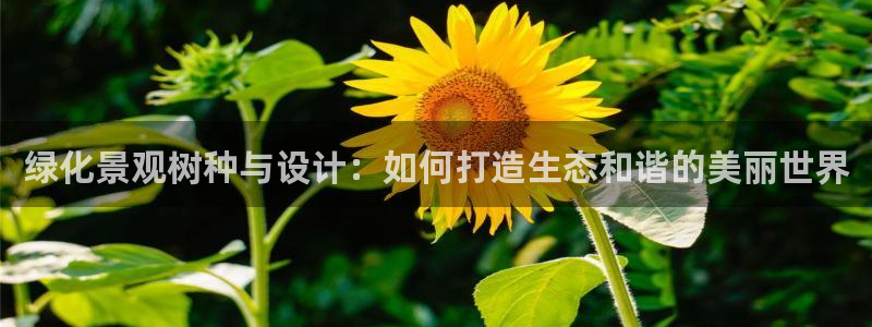 卧龙娱乐彩票app